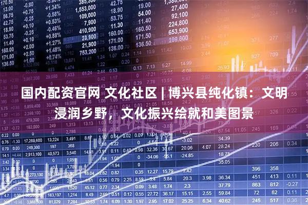 国内配资官网 文化社区 | 博兴县纯化镇：文明浸润乡野，文化振兴绘就和美图景