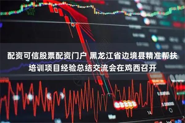 配资可信股票配资门户 黑龙江省边境县精准帮扶培训项目经验总结交流会在鸡西召开