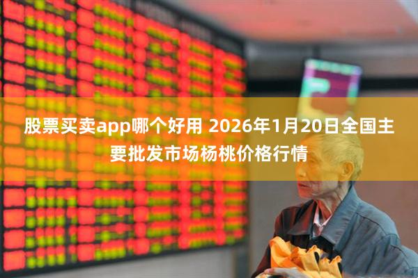 股票买卖app哪个好用 2026年1月20日全国主要批发市场杨桃价格行情