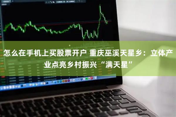 怎么在手机上买股票开户 重庆巫溪天星乡：立体产业点亮乡村振兴 “满天星”